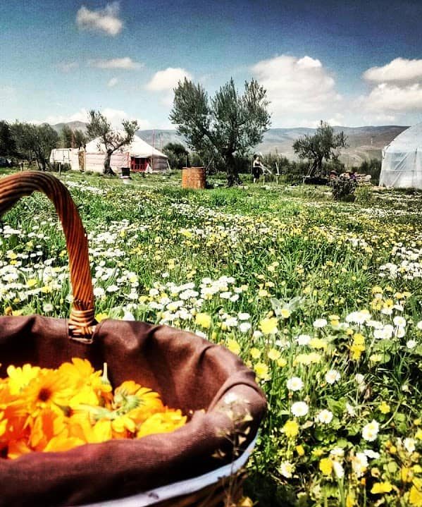 242492559_904343180175264_3697021349879255313_n-e1676833557484