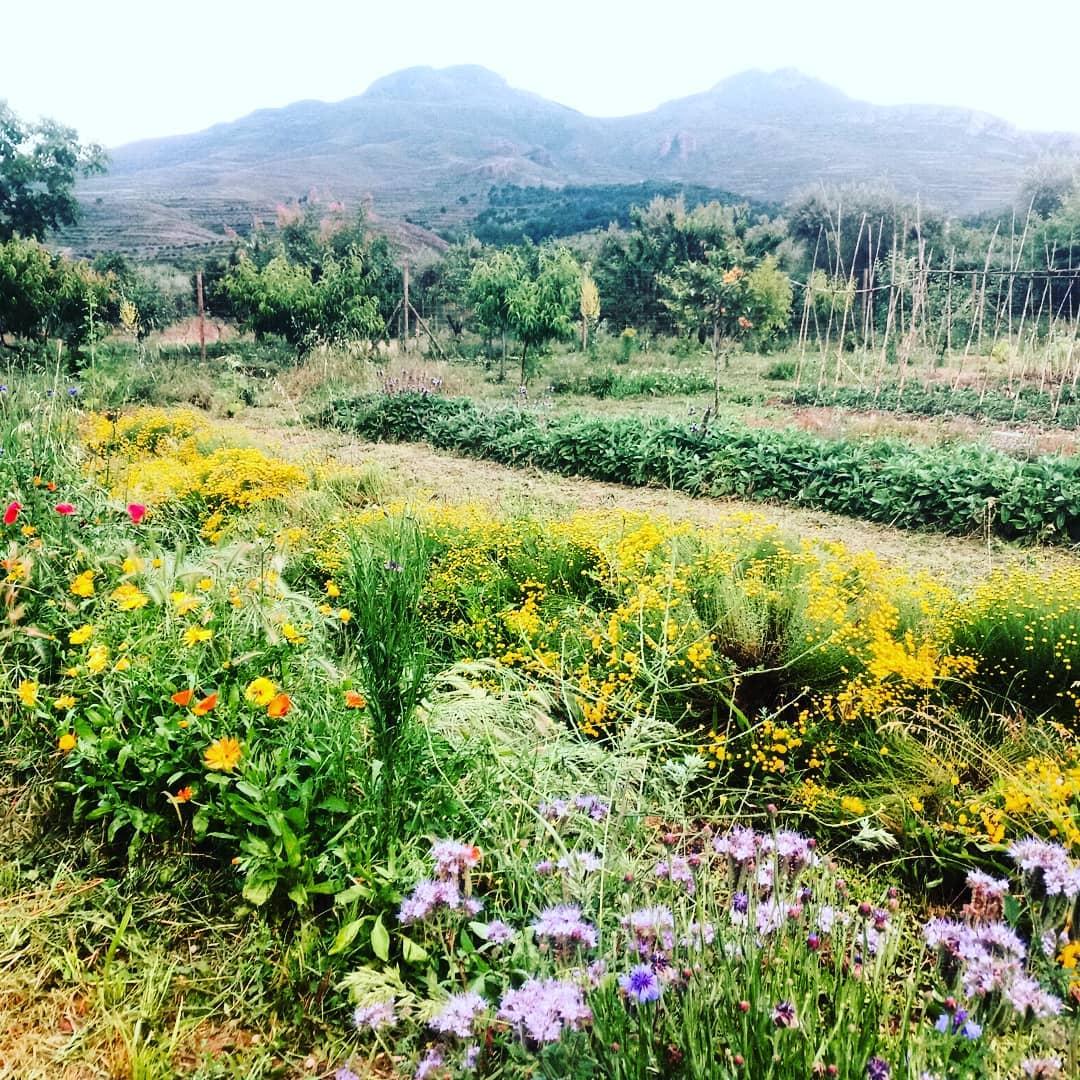 2ab922d6-f43f-4450-b142-aab492be5725