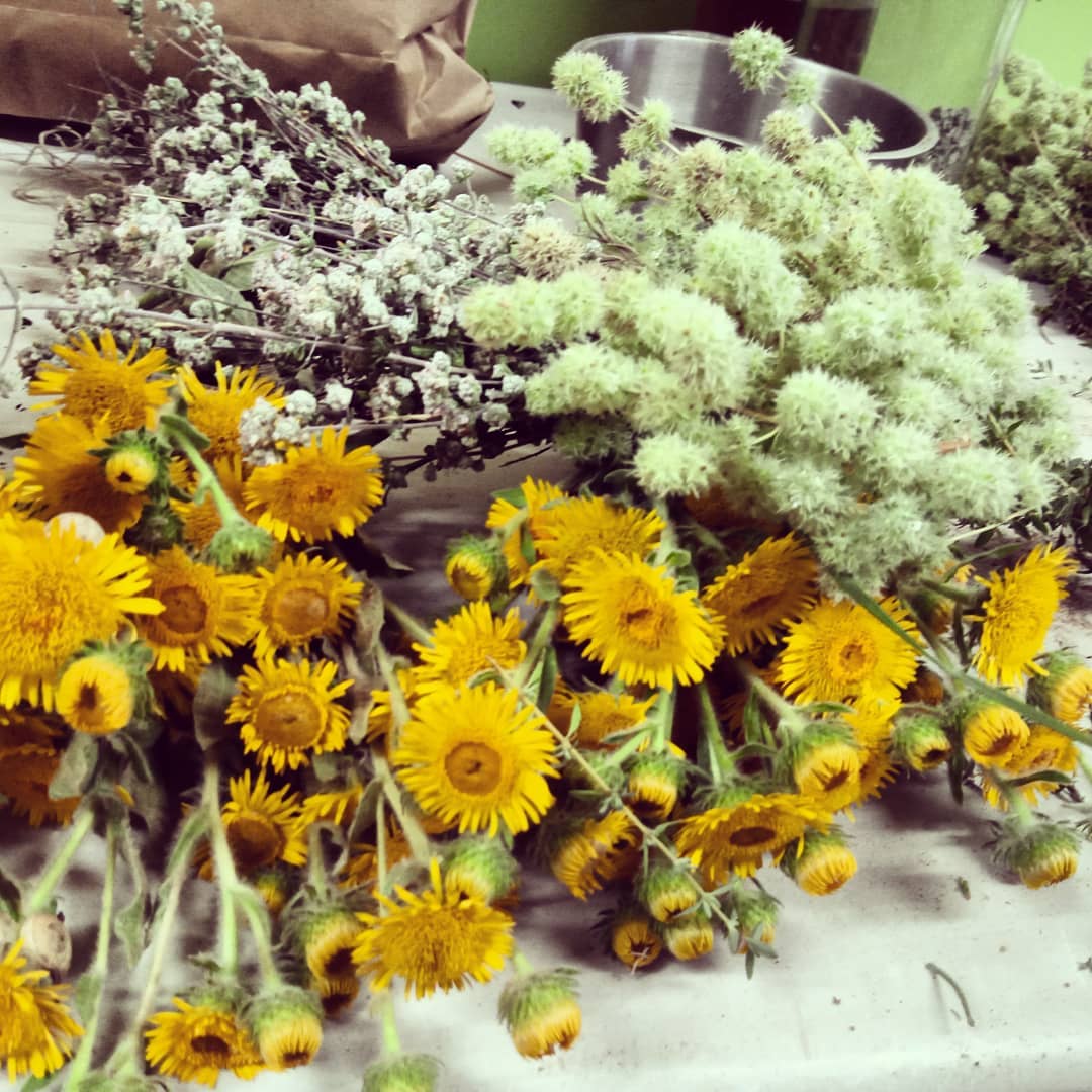 LURREKO AROMÁTICAS Y BIODIVERSIDAD