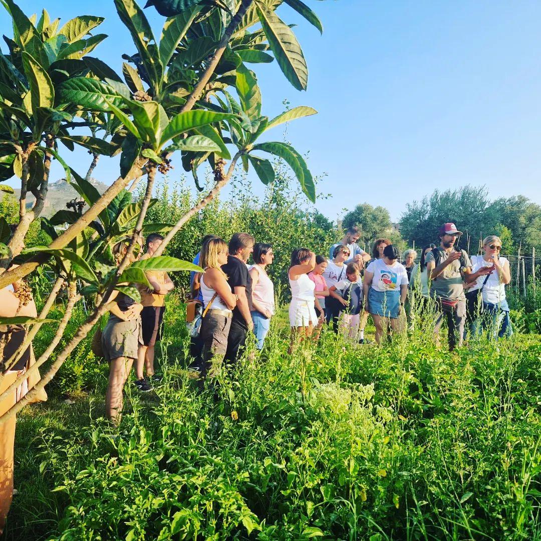 37e7859b-5357-4e4e-932c-7b8724870a75