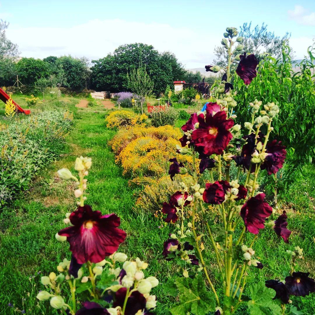 ca1ba745-21be-400c-883c-2a5358cbf60f