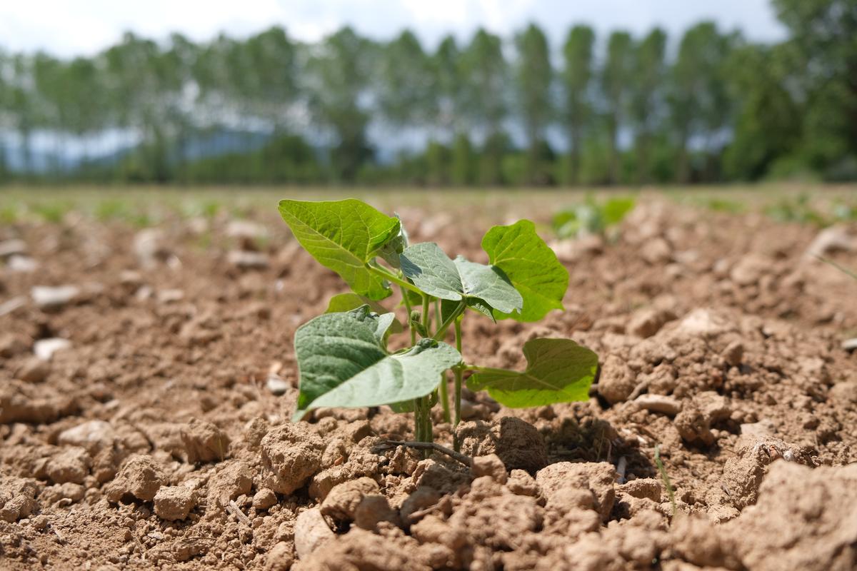 137f2b37-0f63-443c-b249-f6e9dc15a291