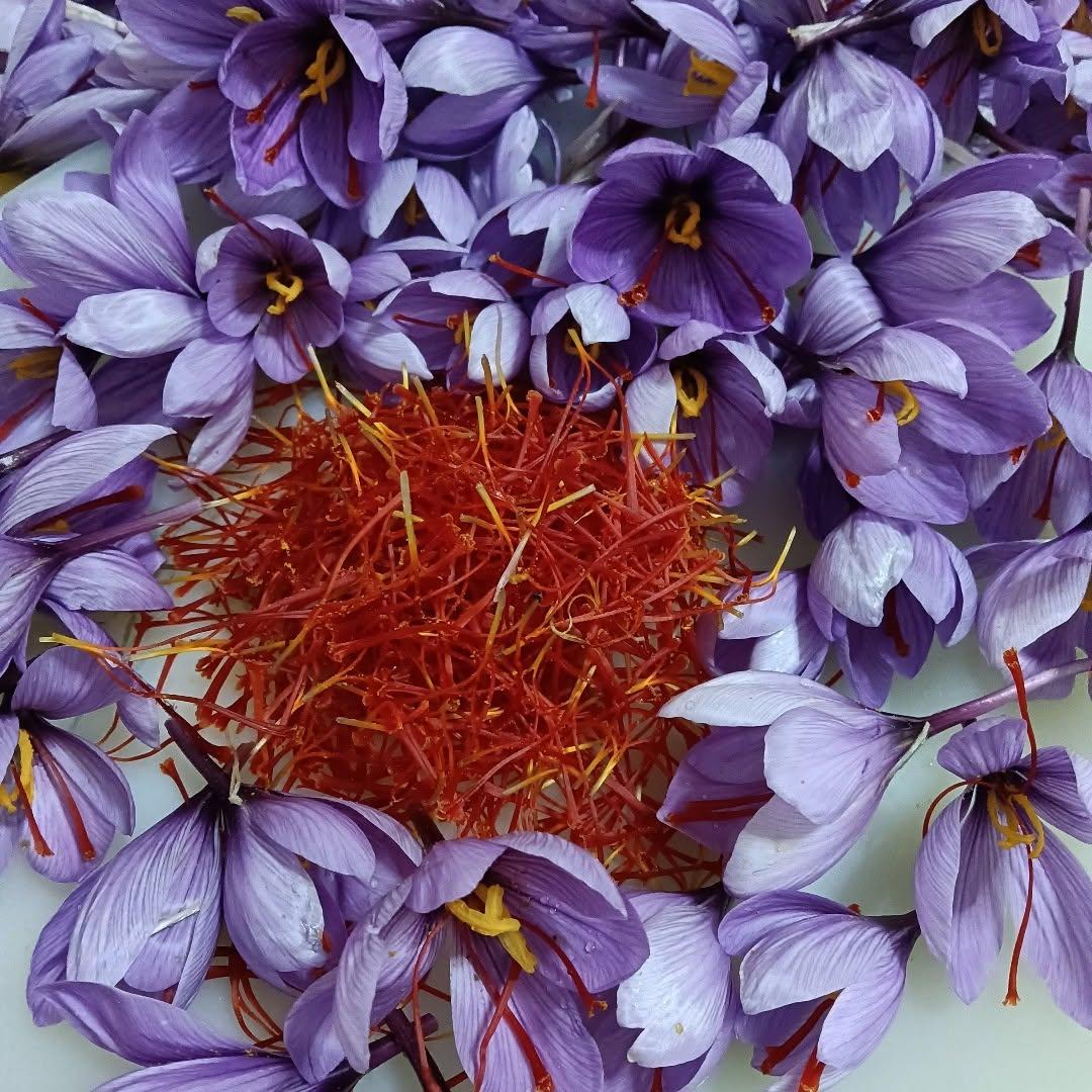 4bfb0628-f755-49d2-80da-713f1d7aa7d3