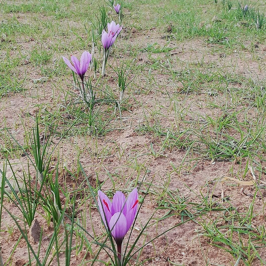 55fe27b9-2275-4b9a-a90c-43116d3b13f3