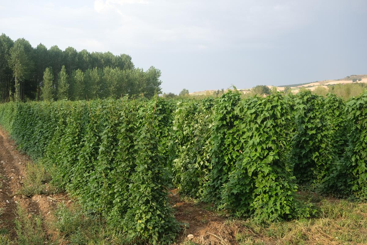 796f694d-d307-4da0-81ca-35844b7361ac